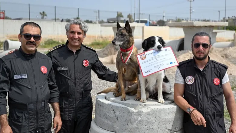 Ares ve Rex, uluslararası sınavda zirvede