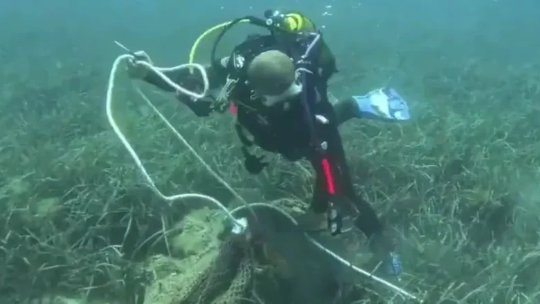 İzmir’de deniz dibinden 1,5 ton ağ çıkarıldı!