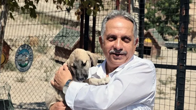 Kayseri Talas Pati Evi can dostlara yuva oluyor