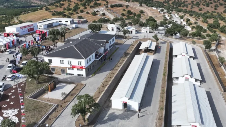 Manisa’da sokak hayvanları için Hayvan Yaşam Merkezi hizmete açıldı