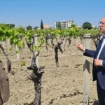 Manisa’da üreticilere genişletilmiş hibe desteği