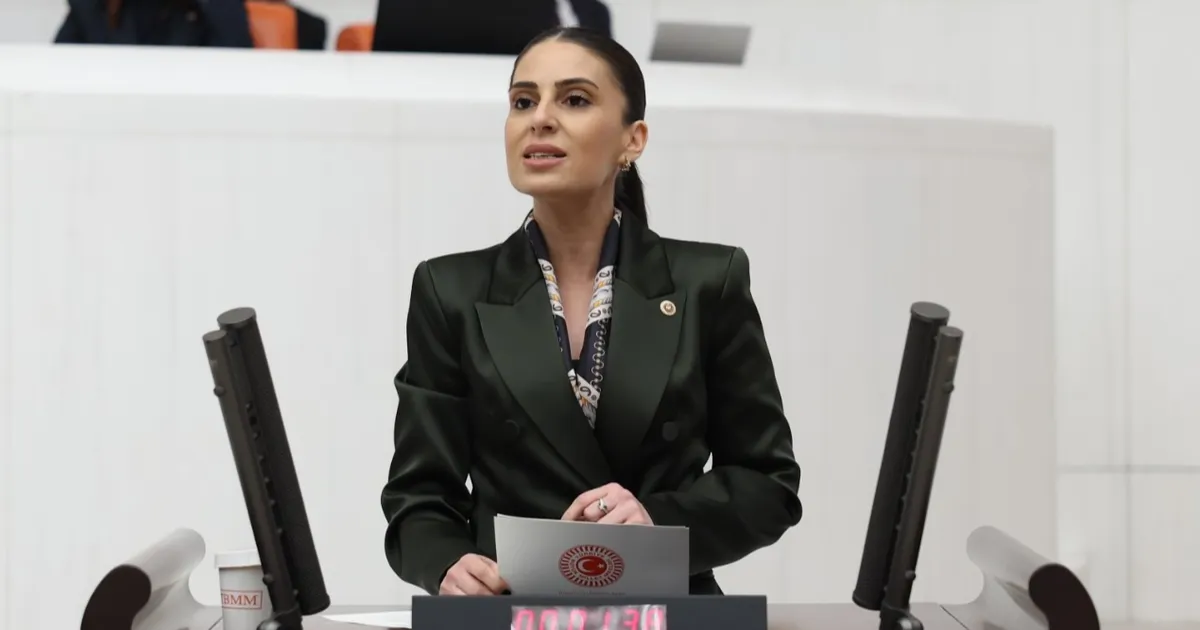 milletvekili-ozcandan-sokak-hayvanlari-icin-bakan-yumakliya-onerge-jXwldgWc.webp