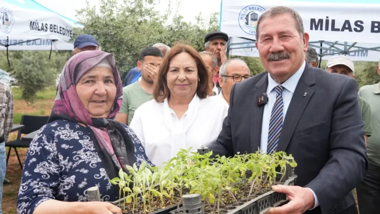 Muğla Milas’ta 300 üreticiye dağıtım gerçekleştirildi