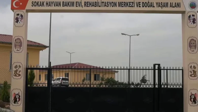 Siirt’te sokak hayvanları için dev proje