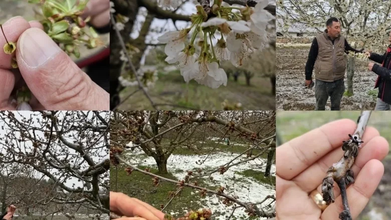 TBMM Zirai Don Araştırma Komisyonu üye seçimi ‘Resmi’leşti